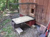 kennel-01.jpg