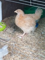 20200607_193604.jpg