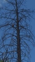 20200607_121242.jpg