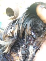 20200608_170342.jpg
