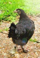 20200605_100046.jpg