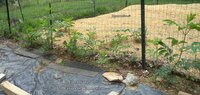 DSC06685.JPG
