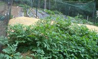 DSC06695.JPG