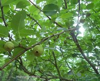 DSC06706.JPG