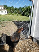 20200607_081256.jpg