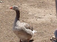 IMG_20200609_140035863.jpg