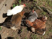 IMG_5899.JPG