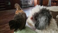 20200610_183031.jpg