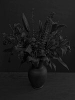 download (3).jpg
