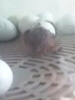 20200611_132618.jpg