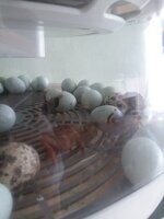 20200611_132505.jpg