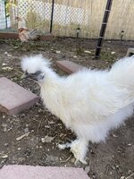 36291434-6154-48D5-AA92-6D8507E460ED.jpeg