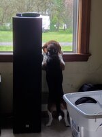 20190509_164357.jpg