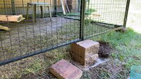 IMG_3941.JPG IMG_3941.JPG