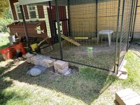 IMG_3943.JPG IMG_3943.JPG