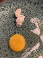 A053B28A-A93E-4510-8110-35AECD93537D.jpeg