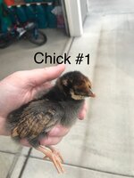 C0F125C7-AF5E-413B-A004-D7F5DFFAF08D.jpeg