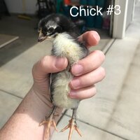 21B023AC-43AB-475A-AA9D-7221377F99DD.jpeg