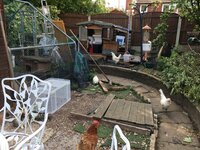 IMG_0794.JPG