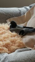 20200302_160403.jpg