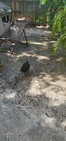 20200613_110318.jpg