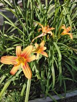 20200613_101905.jpg
