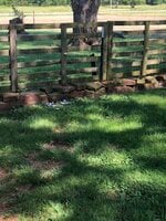 597C5A1A-6077-4B7E-BE8A-855139AC1B96.jpeg