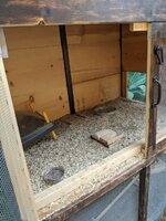 IMG_20200606_134738.jpg