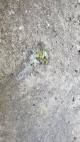 20200614_094348.jpg