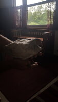 20200614_100036.jpg