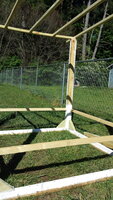 20200501_170502.jpg