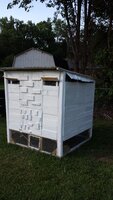 20200601_185134.jpg