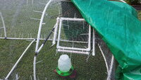 20200615_090657.jpg