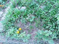 20200615_193744.jpg