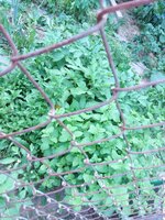 20200615_193752.jpg