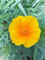 20200615_125309.jpg