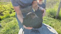 birdpic3.jpg