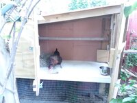 4 hen henhouse