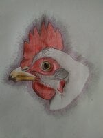 IMG_20200616_155501.jpg