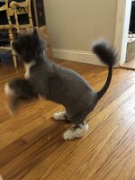 227E354E-A5BF-4276-A6DF-0F726689AB4D.jpeg