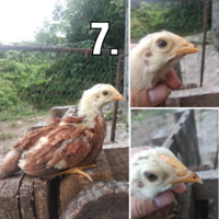 Photo Collage Maker_nFOl3Q.png