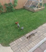 4friends.jpg