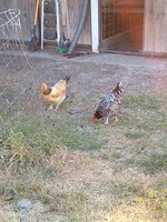 IMG_20200616_200158654.jpg