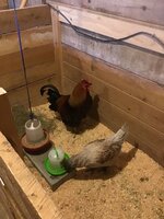 06165778-01D4-4EFC-9717-08AA9C5A3A71.jpeg