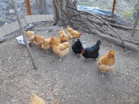 DSCN0556.JPG