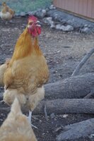DSC_0117.JPG