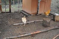 DSC_0373.JPG