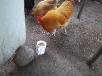 0305160737-00.jpg
