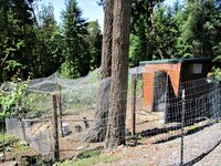 IMG_1209.JPG
