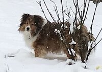 8A74801F-9AF5-4421-AE37-7798CE86785E.jpeg